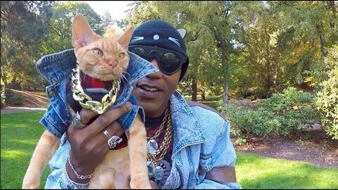 Who is Moshow the Cat Rapper from Netflix's Cat People?