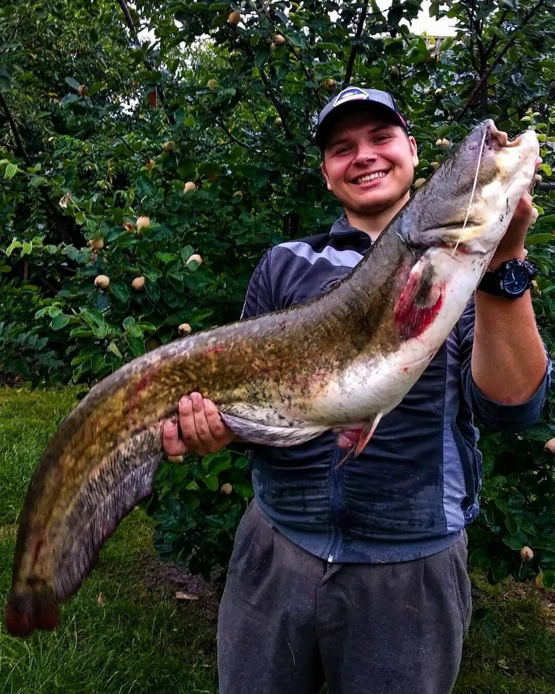FAVORITE Fishing Rods on Instagram: "Catfish get more and more active!...