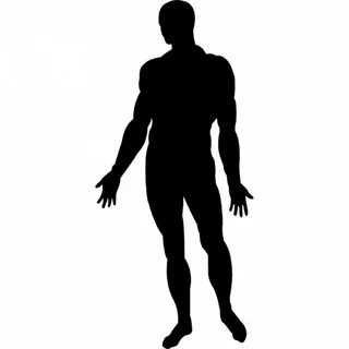 Human Body Silhouette - ClipArt Best