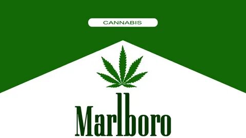 Download High Quality marlboro logo green Transparent PNG Im