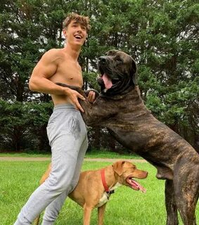 Shirtless Bryce Hall Playing With Dogs In Cute Photos