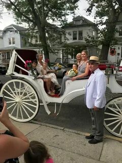 5 Reasons To Hire A Horse Carriage For Central Park Tours. -