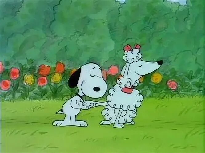 Snoopy's Getting Married, Charlie Brown, 1985 Snoopy family,