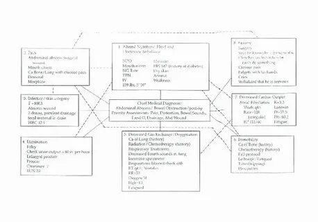 Nursing Concept Map Template Stcharleschill Template