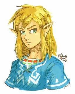 Link with his hair down. #WiiU Legend of zelda memes, Legend