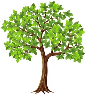 Tree PNG Transparent Clip Art Image Gallery Yopriceville - H