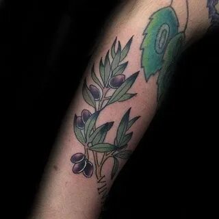Places of tattooing olive branch for men and women