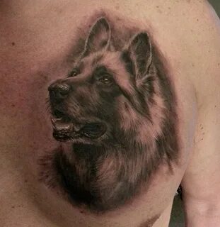 Realistic german shepherd dog tattoo on chest - Tattoos Book