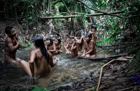 CATALYST - The Awá Indians: Earth's Most Threatened Tribe In