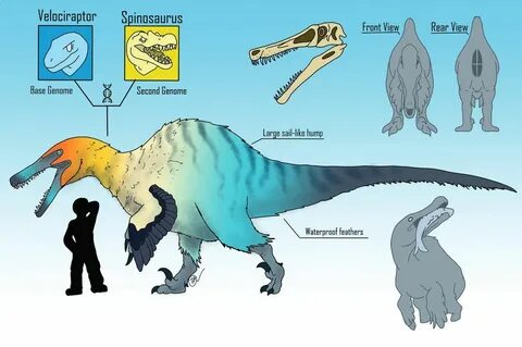 Spinoraptor by BangBooDoragon Jurassic world dinosaurs, Dino