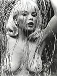 Stella Stevens - Free nude pics, galleries & more at Babeped
