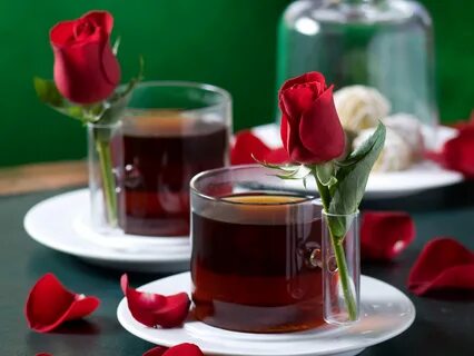 Обои petals, rose, tea, elegantly, romance, gentle, nice, dr