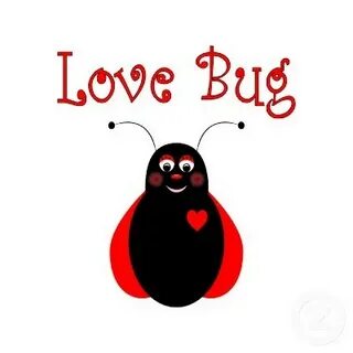Love Bug (@Lovebug305) Twitter