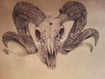 Ram Skull by backhendl on deviantART Skull tattoo design, Sk