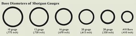 Shotgun gauge and shot size