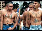 Obama's Open Door Policy Allows Gangs to Slip Over Border, R