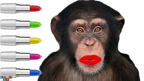 Learn Colors With Monkey Doing Lipstick Makeup Finger Family