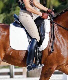 What is the Role of the Dressage Rider’s Upper Leg? Equestri