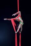 Image result for circus dance ribbon Aerial costume, Aerial 
