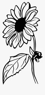 View 19 Simple Outline Sunflower Clipart Black And White - O