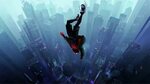 Miles Morales Spider-Man Into The Spider-Verse Wallpapers Wa