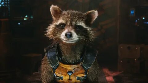 Rocket Raccoon Best Wallpaper 41385 - Baltana