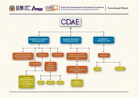CDAE - Functional Chart