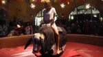 Sexiest cow rider ever !! - YouTube