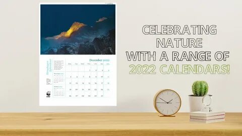 2022 Wall Calendars - YouTube