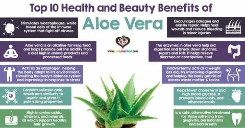 Top 10 Health and Beauty Benefits of Aloe Vera - Clinific