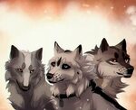 Pin by White Wolf on WOLF/DOG Cute wolf drawings, Canine art