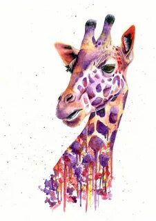 Watercolour Giraffe' by Colors of the Wild - available as pr