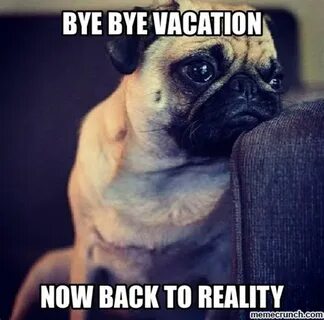 Vacation is over Memes