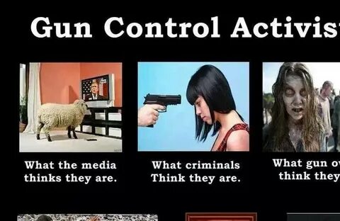 Hilarious Meme Shows What It REALLY Means To Be Anti-Gun