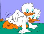 Donald Duck Blowjob