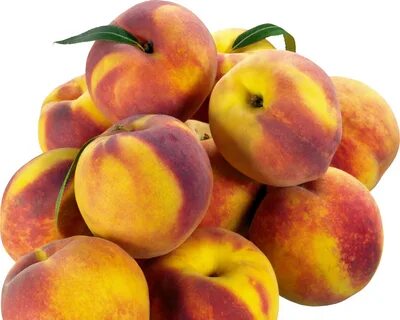 HD desktop wallpaper: Food, Fruits, Peaches, Branch download free picture #11011