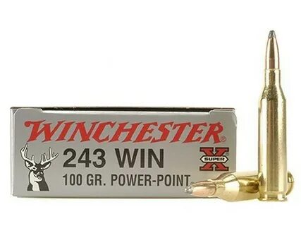 Arsenal Force. 243 Win 100gr Power Point, Winchester, Box of