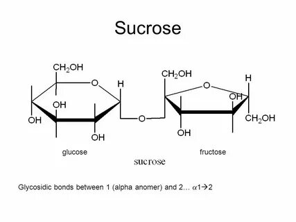 Glucose Disposal and Carbohydrate Structure - ppt download