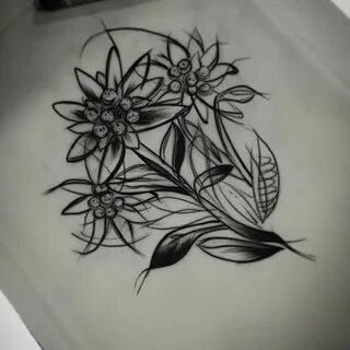edelweiss tattoo Edelweiss tattoo, Flower tattoo shoulder, M