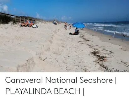 O2016 STEVEN MARKOS Canaveral National Seashore PLAYALINDA B