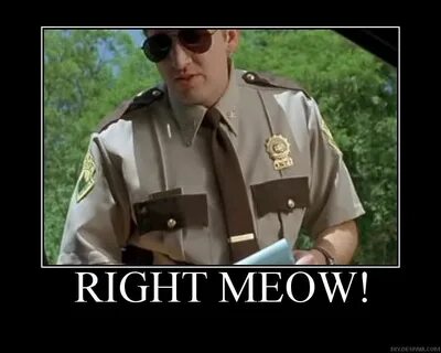 Super Troopers Quotes Movie quotes funny, Super troopers quo