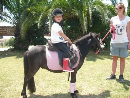 Ponis caballos cojiendo Diigo Groups