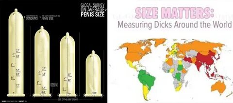 Average Size Penis By Country - Great Porn site without regi