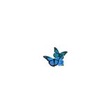 blue aesthetic butterfly 298956448153211 by @billsbibbles