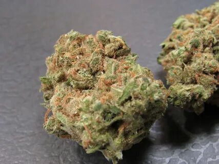 Strain of the Week: Lemon Skunk - Dispensary Works