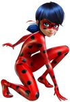 Ladybug girl, Miraculous ladybug party, Ladybug costume