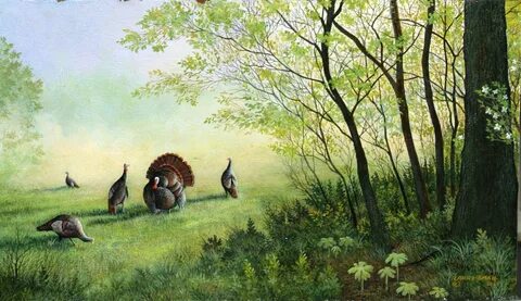 Spring Turkey Hunting Wallpaper (58+ images)