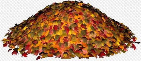 Autumn leaf, PNG pictures with transparent background