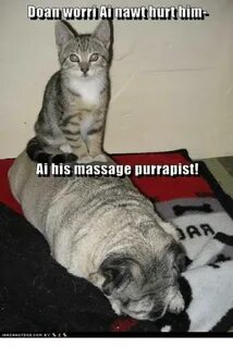 Doan Worri Ainawt Hurt Him- Ai His Massage Purrapist! Massag