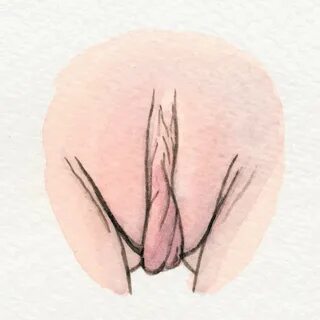 The Vulva Gallery on Instagram: "This is a vulva portrait of